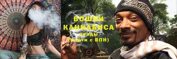 хмурый Бронницы
