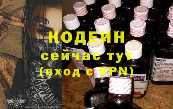 гидра Верея