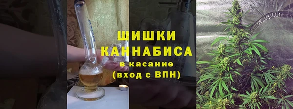 сатива Вязники