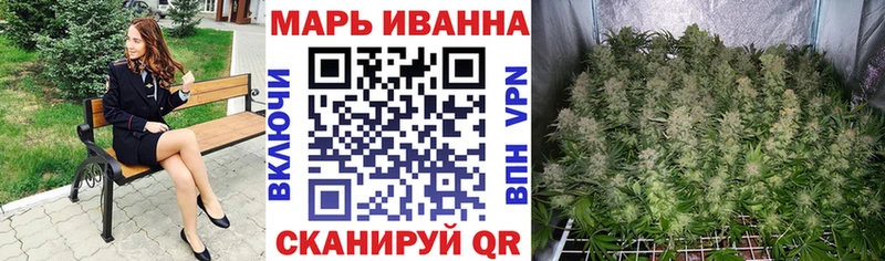 что такое   Верея  Бошки Шишки ГИДРОПОН 