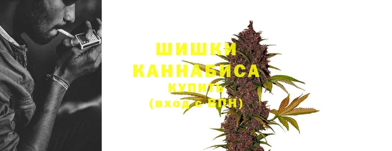 Марихуана Amnesia  Верея 